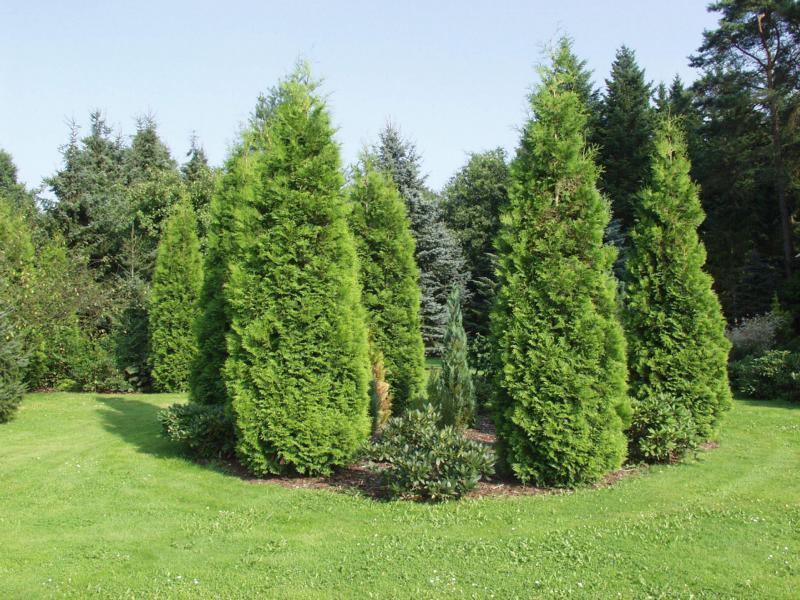 Ferienpark Leitzingen Soltau Buitenkant foto