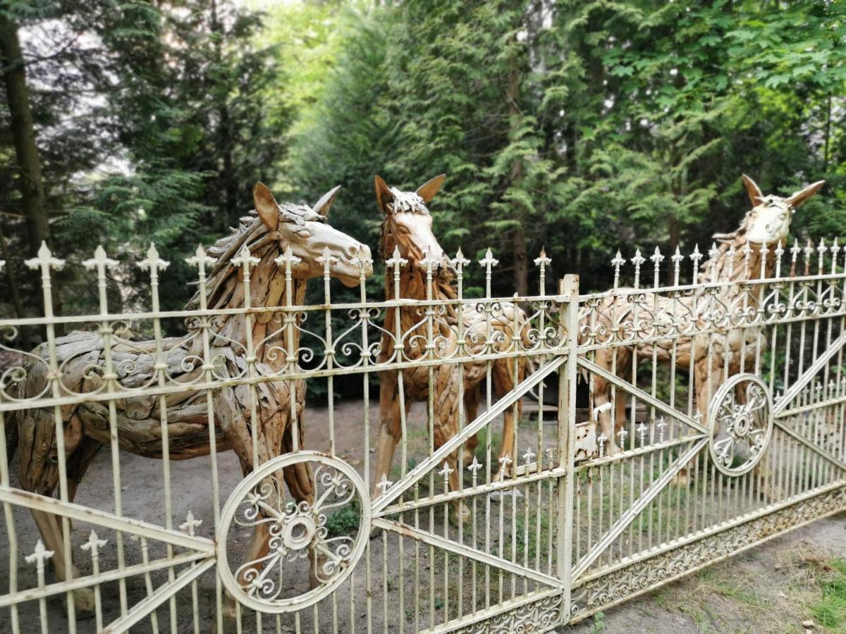 Ferienpark Leitzingen Soltau Buitenkant foto